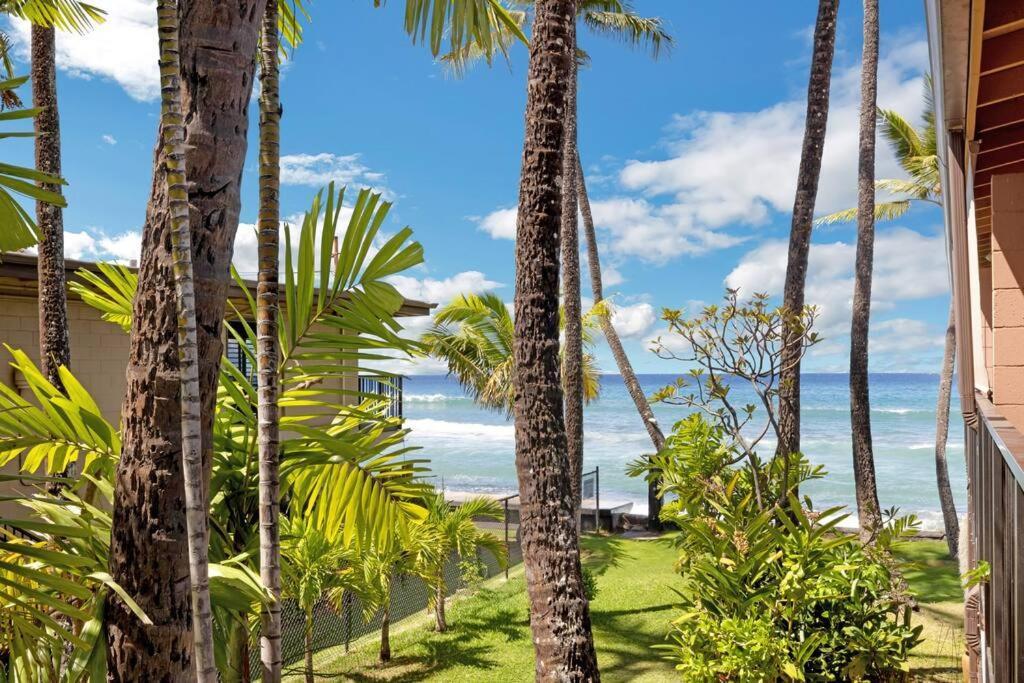 شقة Oceanfront With Aircon-Hear The Waves-Amazing Views-Wifi لاهينا المظهر الخارجي الصورة