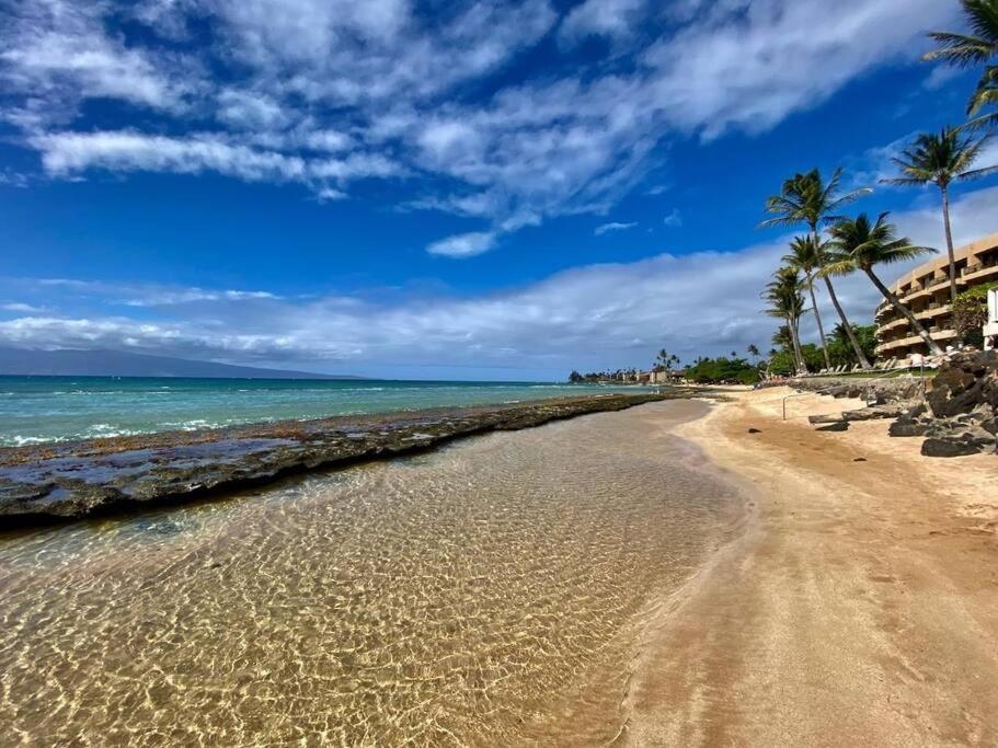 شقة Oceanfront With Aircon-Hear The Waves-Amazing Views-Wifi لاهينا المظهر الخارجي الصورة